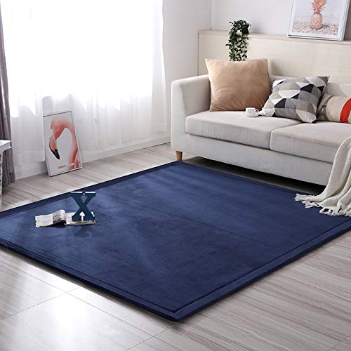 Loartee Coral Velvet Crawling Rug and Area Rug (4'9"x4'9", Dark Blue) for Toddler Children Play Mat and Yoga Mat Exercise Pad