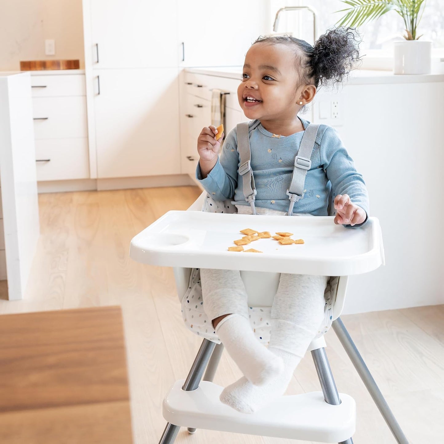 Regalo High Chair with Jelly Bean Seat Pad for Babies and Toddlers, Award Winning Brand, Removable Oversized Tray with Cup Holder, Five Point Harness, White